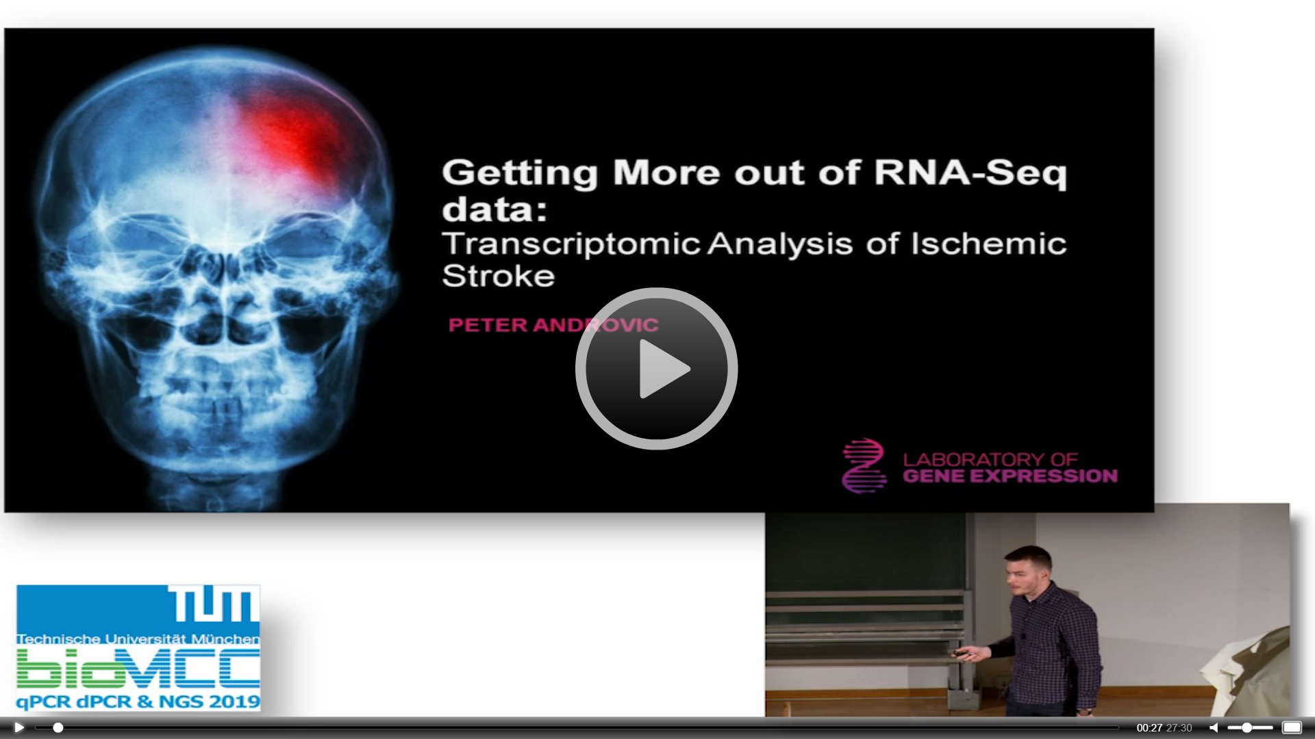 Getting More out of RNA-Seq Data: Transcriptomic Analysis of Ischemic Stroke