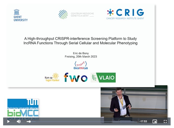 A High-throughput CRISPR-interference Screening Platform to Study lncRNA Functions Through Serial Cellular and Molecular Phenotyping