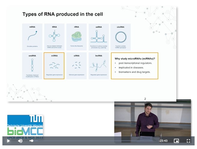 Competing Endogenous RNAs As Biomarkers of MiRNA Activity