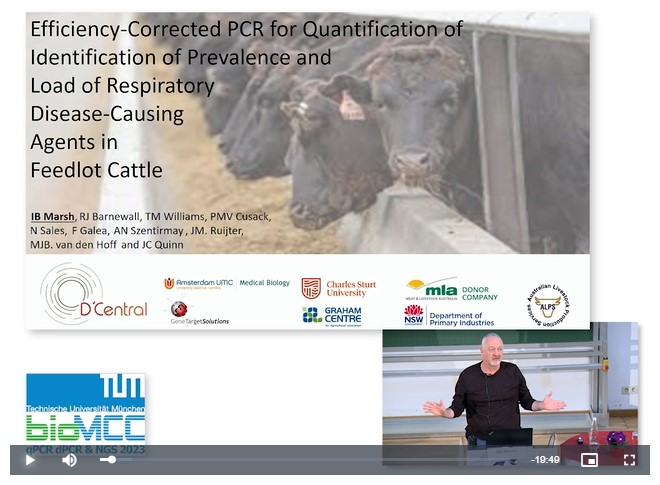 Efficiency-Corrected PCR Quantification for Identification of Prevalence and Load of Respiratory Disease-Causing Agents in Feedlot Cattle