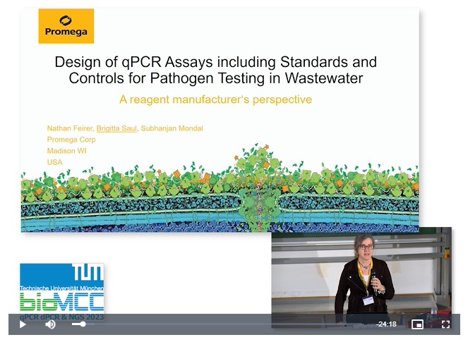 Design of qPCR Assays Including Standards and Controls for Pathogen Testing in Wastewater