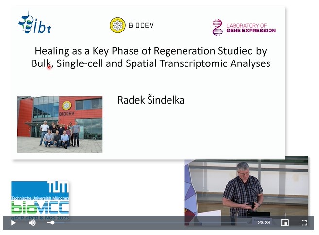 Healing as a Key Phase of Regeneration Studied by Bulk, Single-cell and Spatial Transcriptomic Analyses