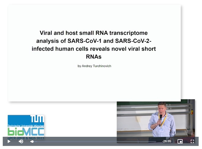 Viral and Host Small RNA Transcriptome Analysis of SARS-CoV-1 and SARS-CoV-2-infected Human Cells Reveals Novel Viral Short RNAs