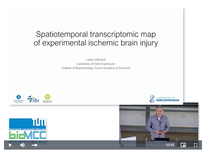 Spatiotemporal Transcriptomic Map of Experimental Ischemic Brain Injury