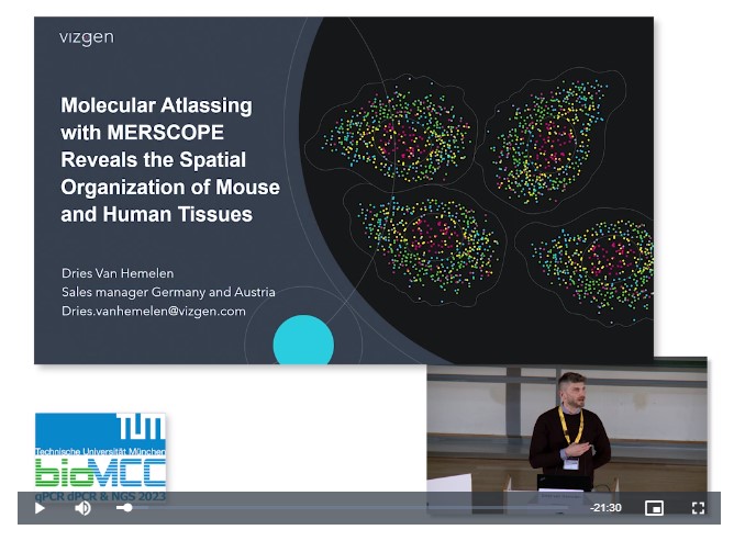 Molecular Atlassing with MERSCOPE Reveals the Spatial Organization of Mouse and Human Tissues